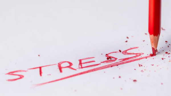 Stress: Die besten Nährstoffe für Ruhe und Gelassenheit