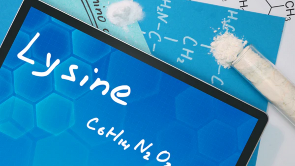 Lysin: Funktionen des essentiellen Eiweißbausteins