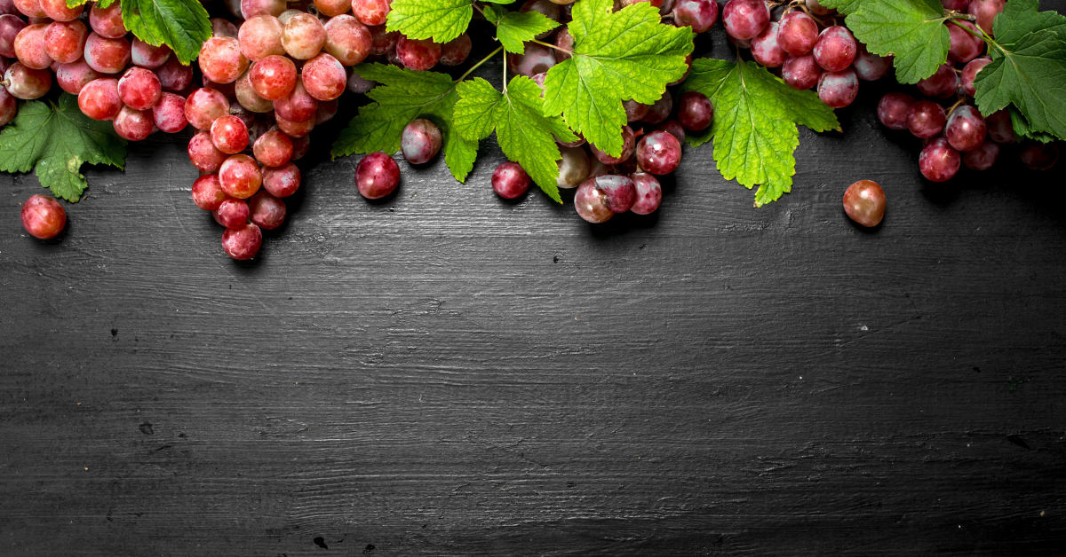 OPC: Was kann das Antioxidans?