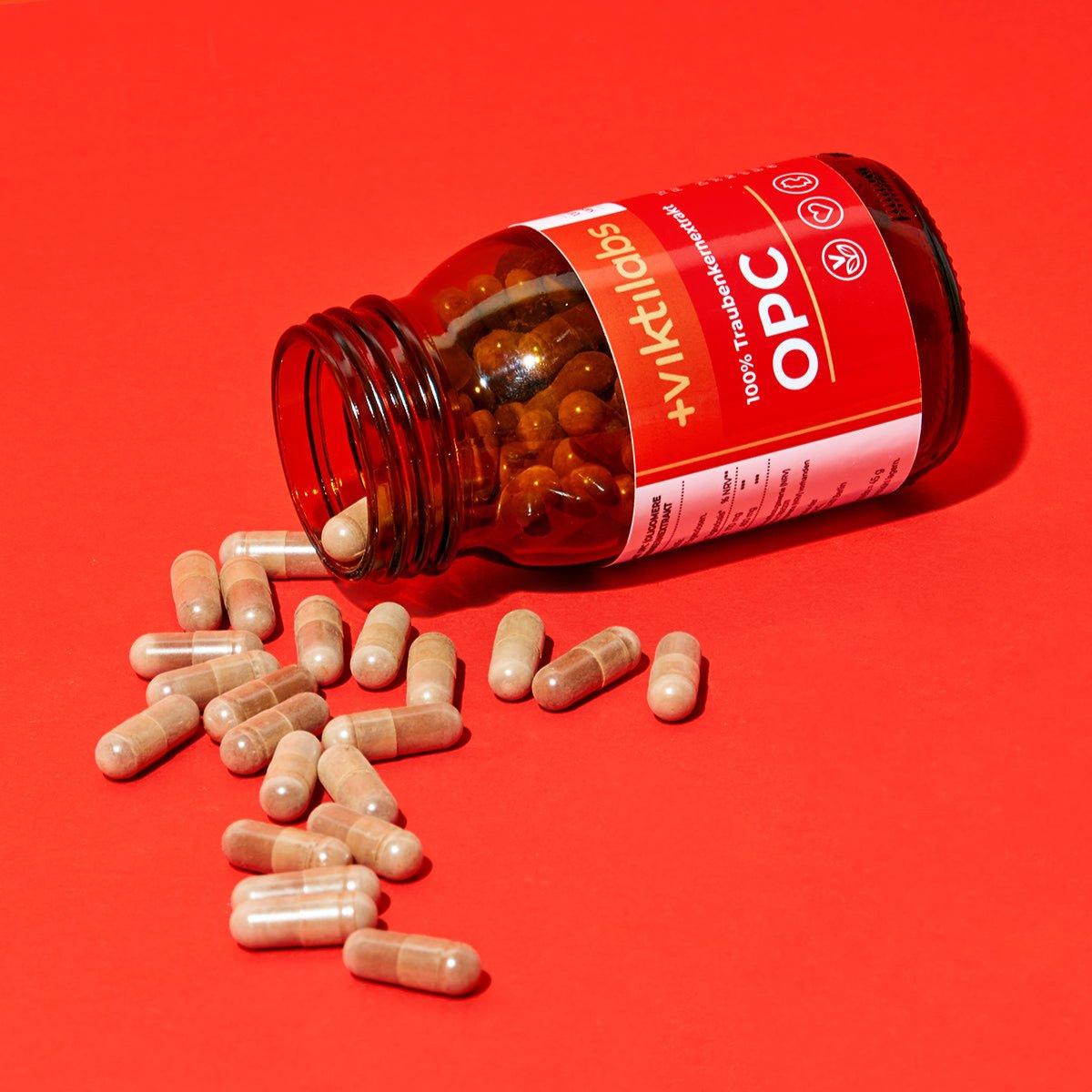 06 250222 Viktilabs 0877