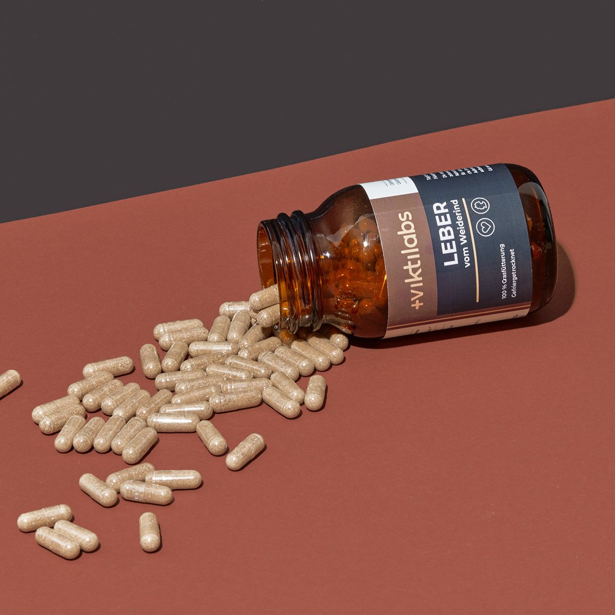 06 250222 Viktilabs 1735