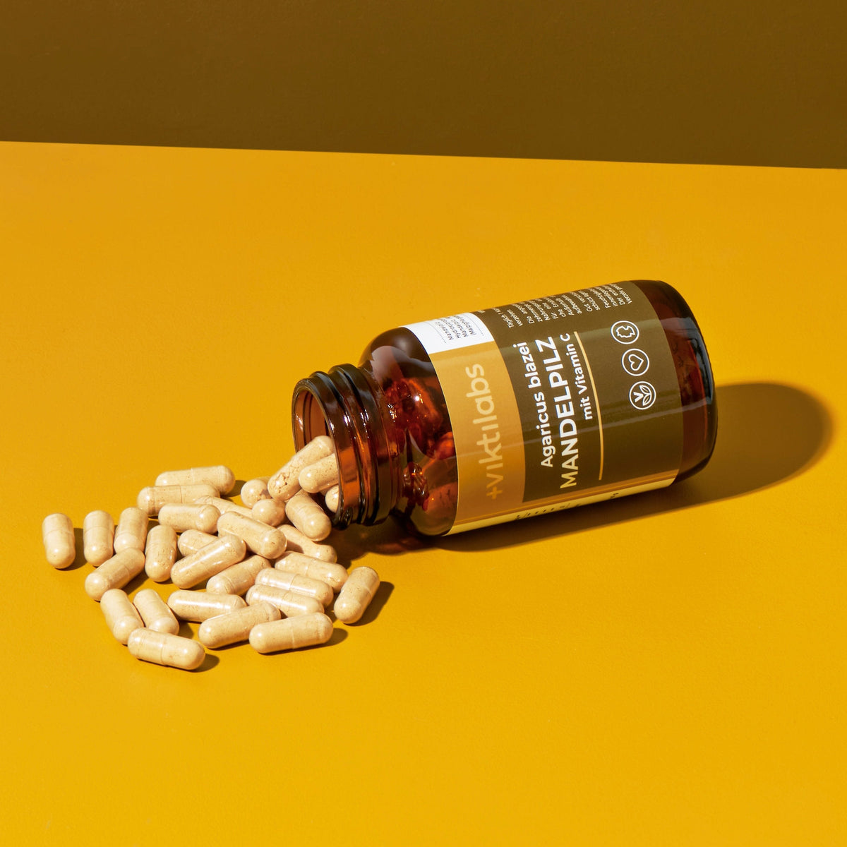 06 250222 Viktilabs 2234