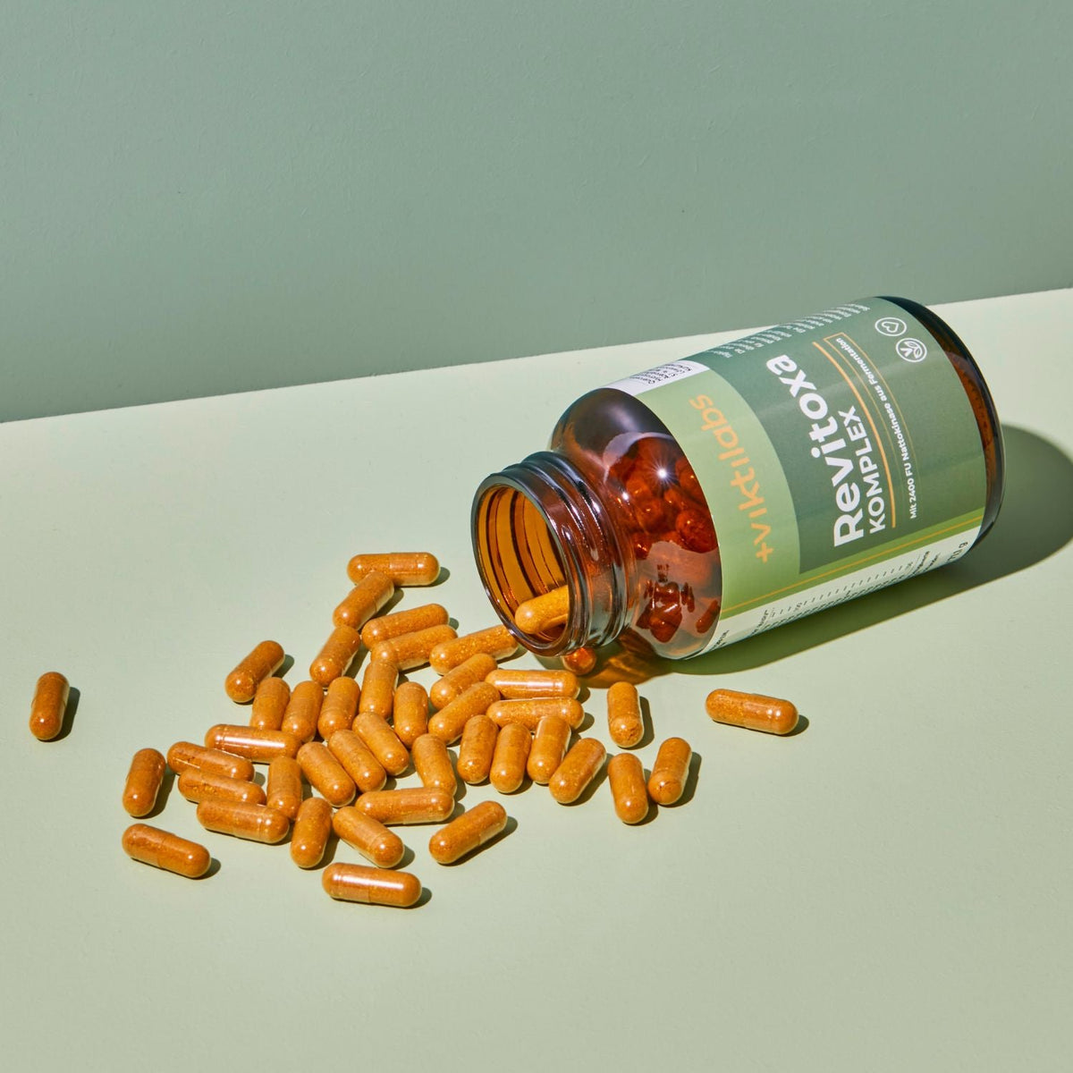 ViktilabsRevitoxaKomplex2