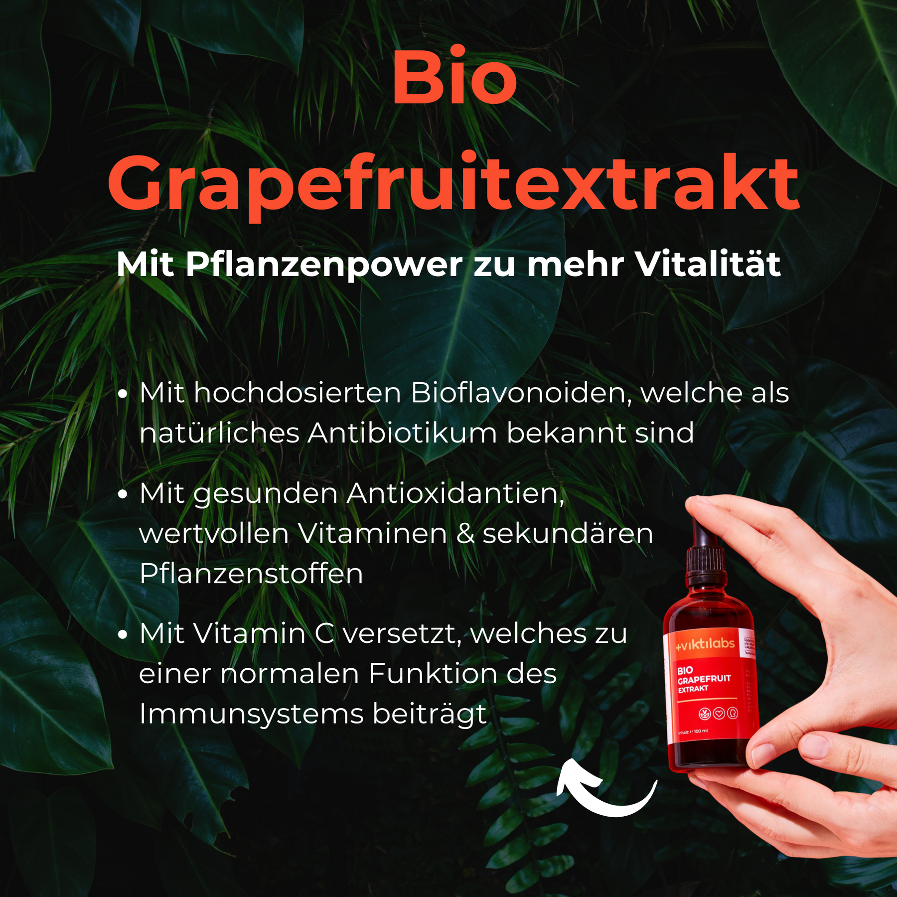 Pflanzenpower Paket: Kurkuma, OPC, Bio Grapefruitextrakt