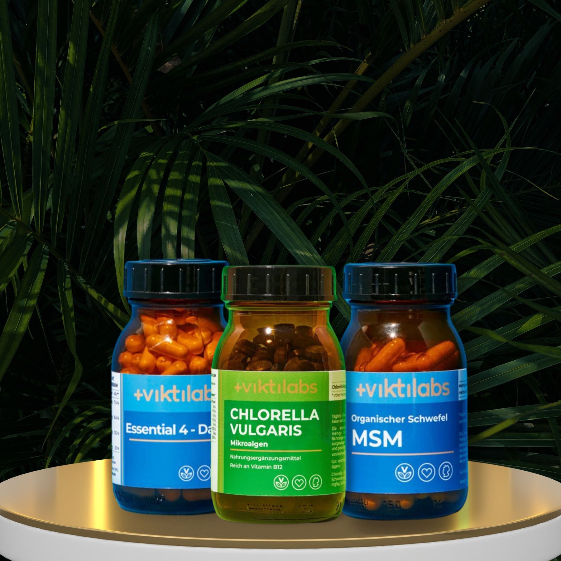 Paquete Detox - MSM, Chlorella, Esencial 4-Daily