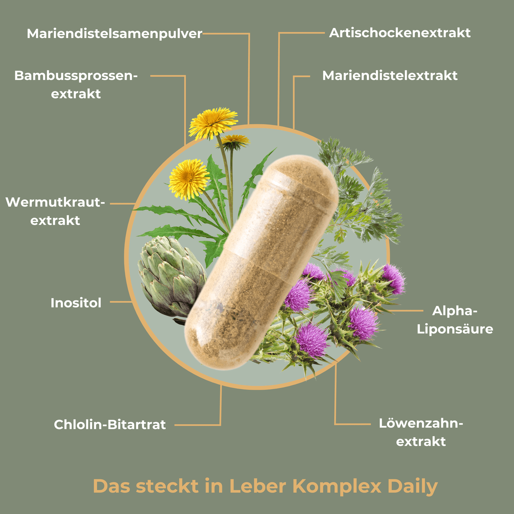 Offer for Liver Complex Daily (vegan) - 120 capsules