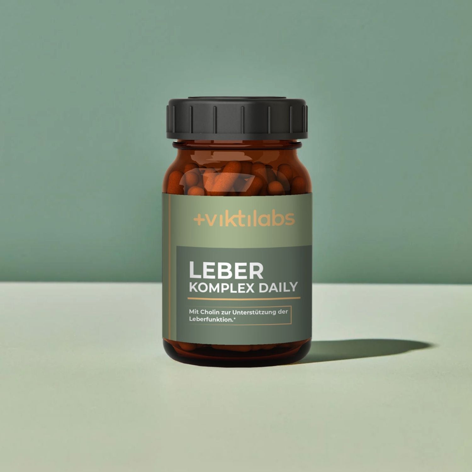 Viktilabs Leber Komplex Daily 2