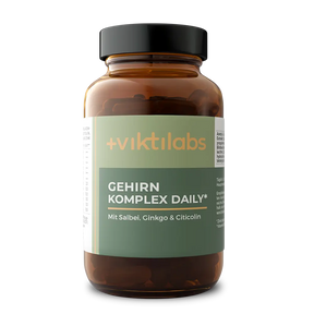 viktilabs-gehirnkomplex-variantenbild-1