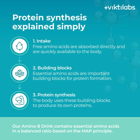 viktilabs-amino-8-zitrone-infografik-proteinsynthese [lang-en]