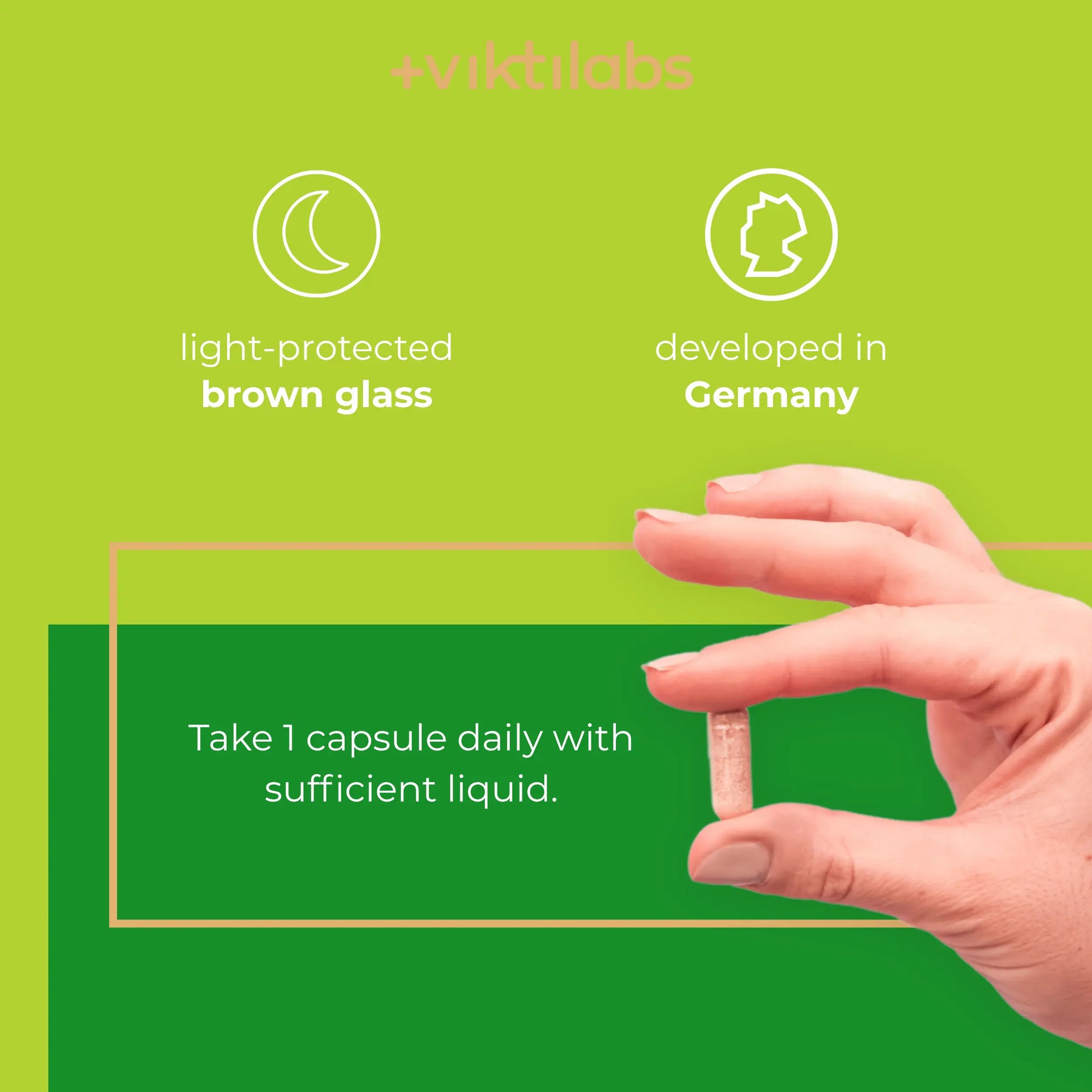 viktilabs-ashwagandha-infografik-use [lang-en]