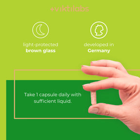 viktilabs-ashwagandha-infografik-use [lang-en]