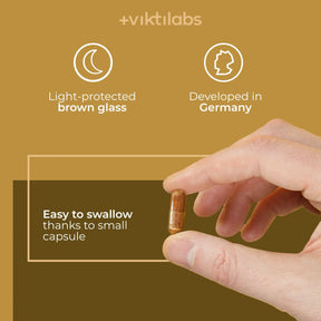 viktilabs-cordyceps-infografik-use [lang-en]