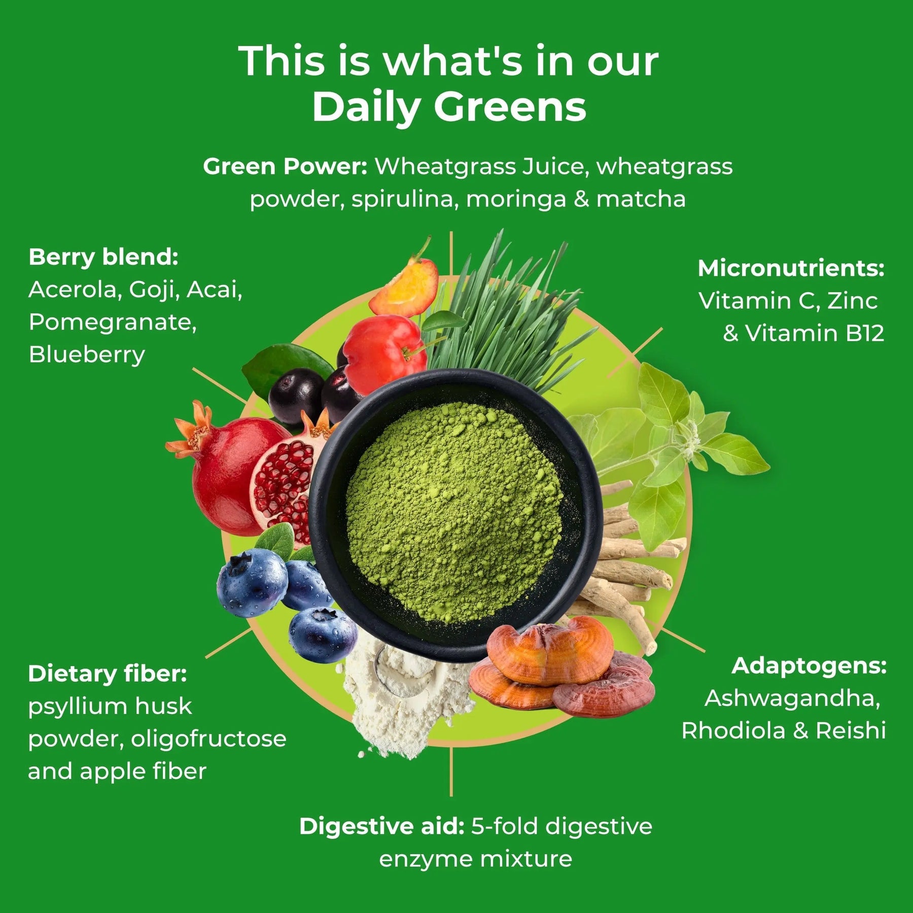 viktilabs-daily-greens-infographic-ingredients [lang-en]