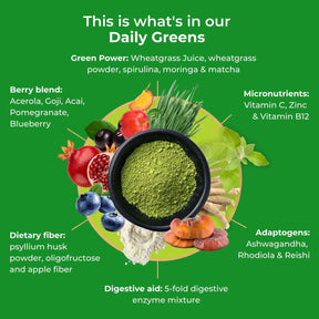 viktilabs-daily-greens-infographic-ingredients [lang-en]