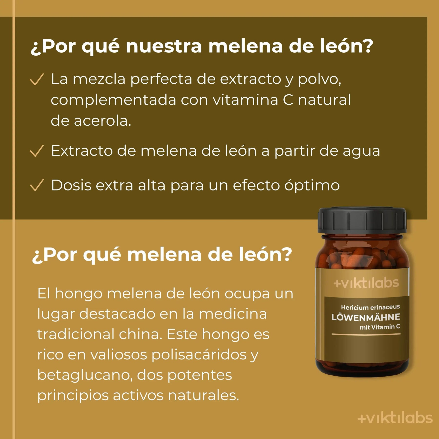 viktilabs-löwenmähne-infografik-por-que-nuestro-producto [lang-es]