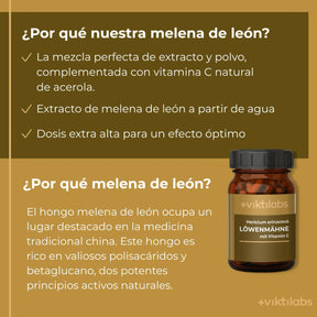 viktilabs-löwenmähne-infografik-por-que-nuestro-producto [lang-es]