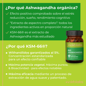 viktilabs-ashwagandha-infografik-por-que-nuestro-producto [lang-es]
