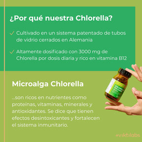 viktilabs-chlorella-infografik-por-que-nuestro-producto [lang-es]