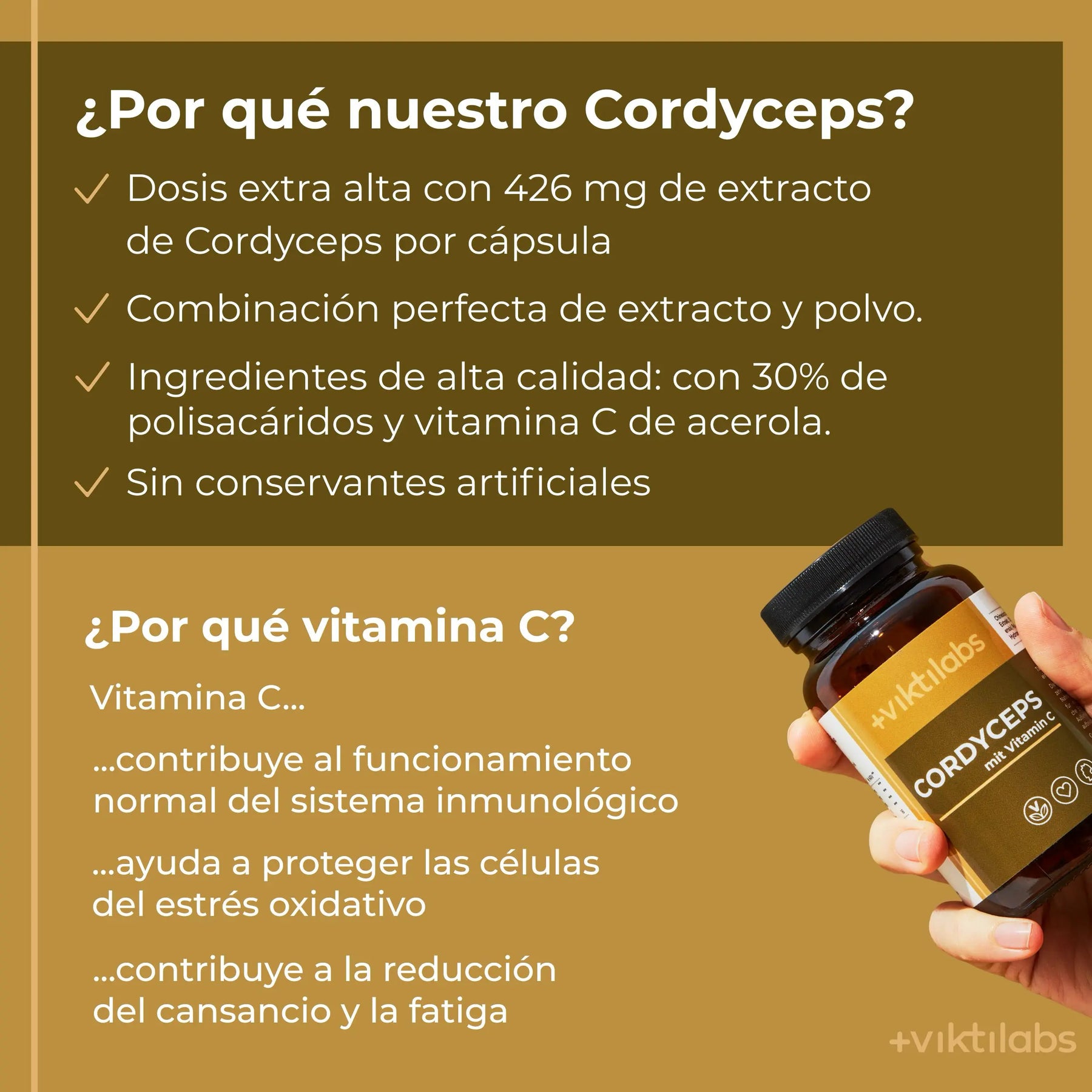 viktilabs-cordyceps-infografik-por-que-nuestro-producto [lang-es]