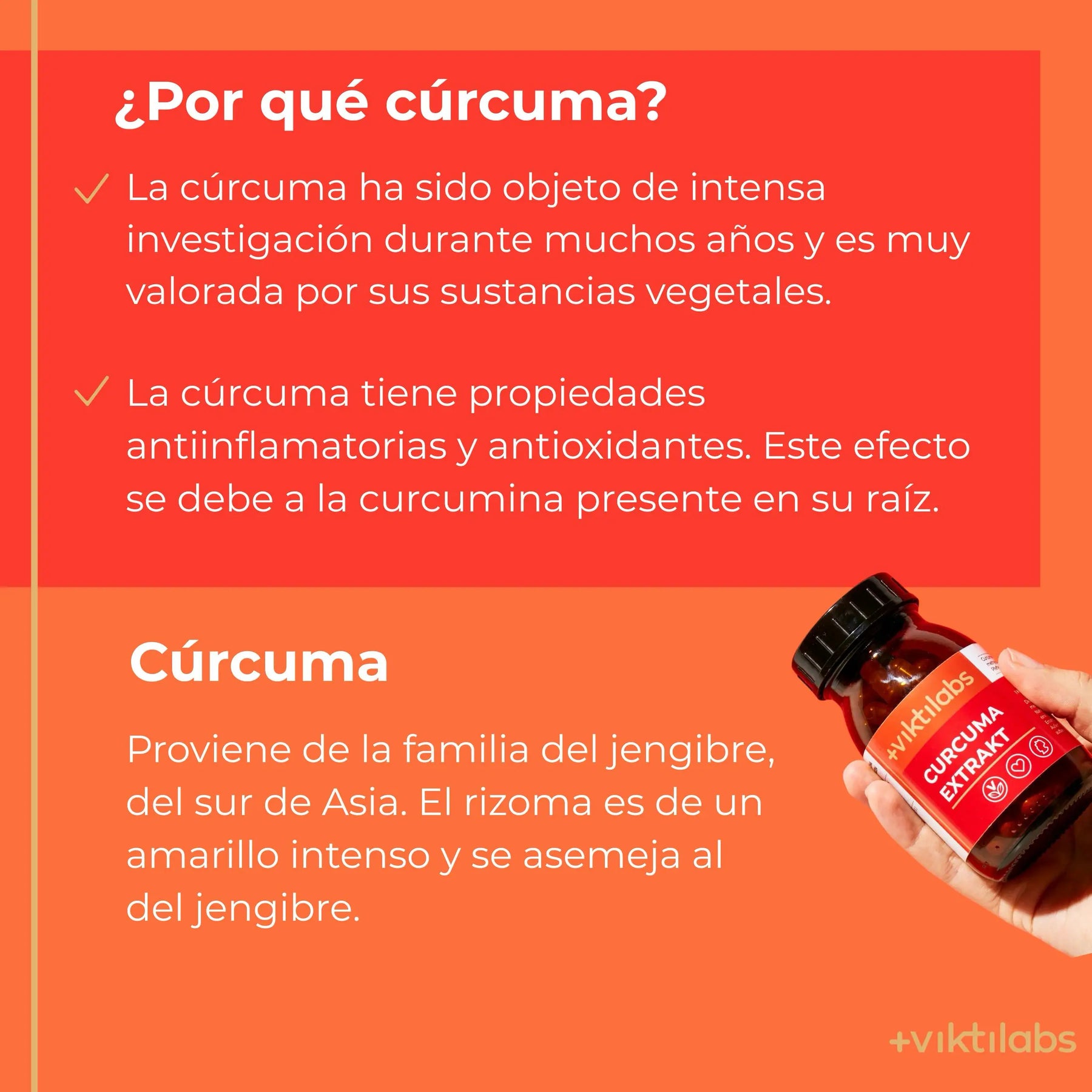 viktilabs-curcuma-extrakt-infografik-por-que-nuestro-producto [lang-es]