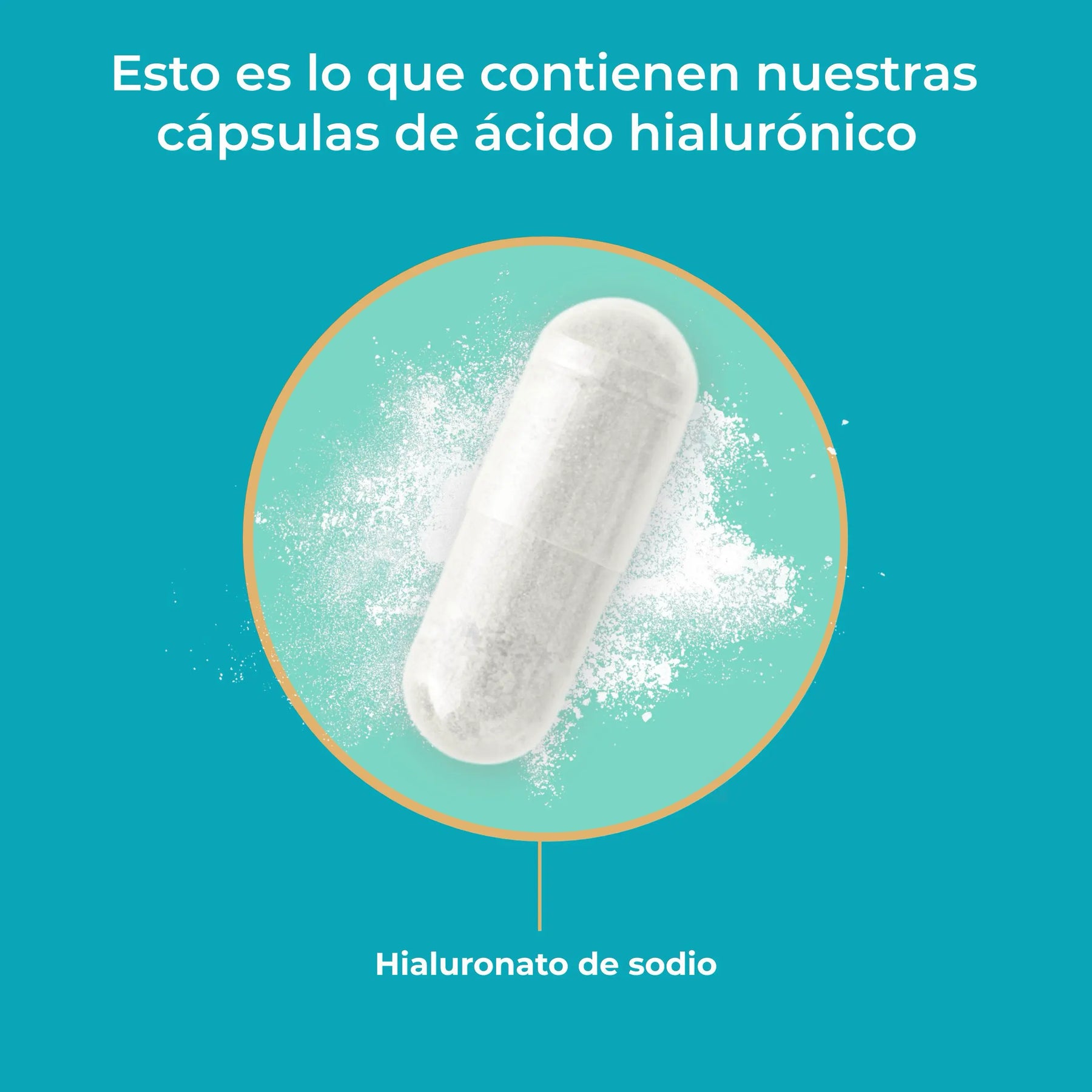 viktilabs-hyaluronsäure-infografik-ingredientes [lang-es]