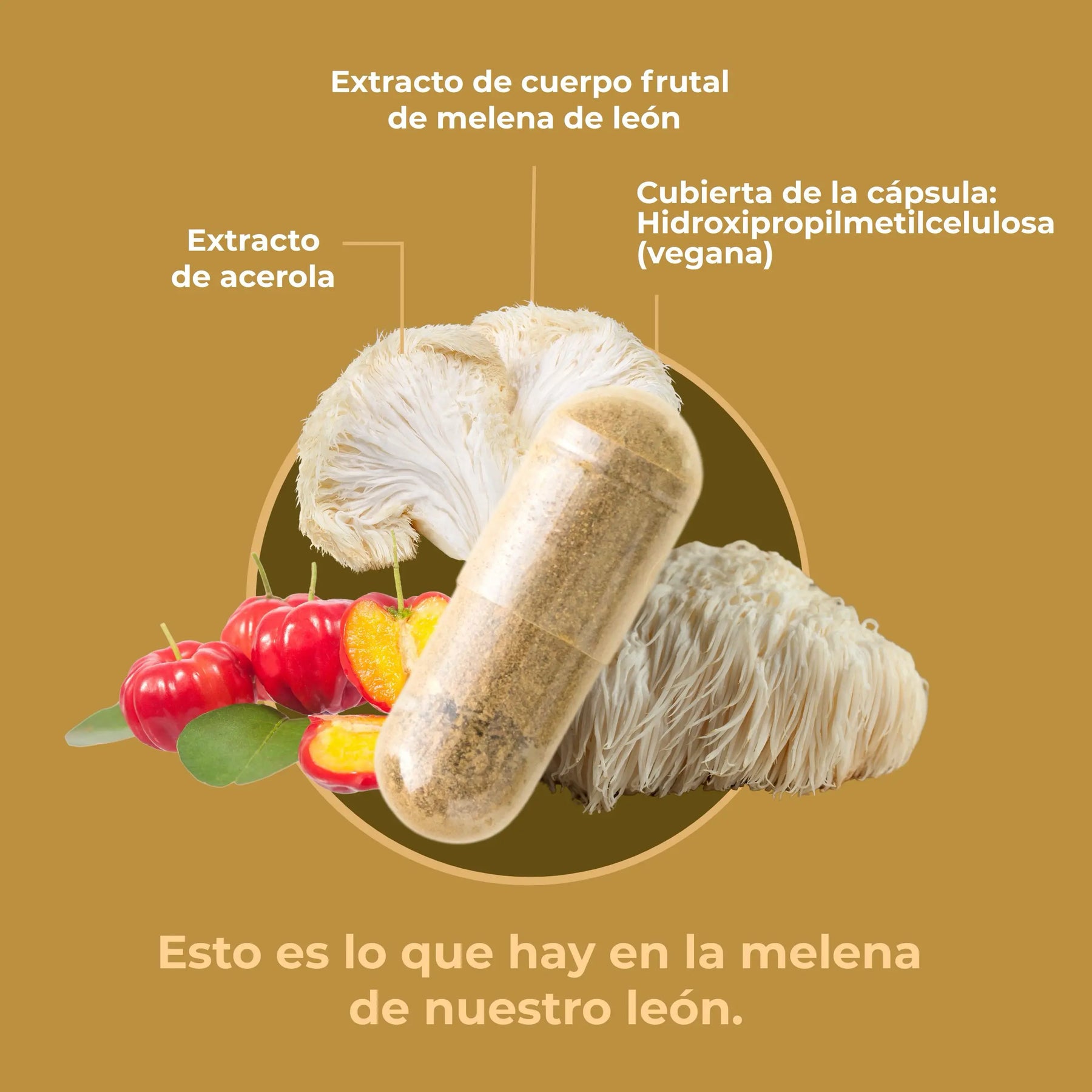 viktilabs-löwenmähne-infografik-ingredientes [lang-es]
