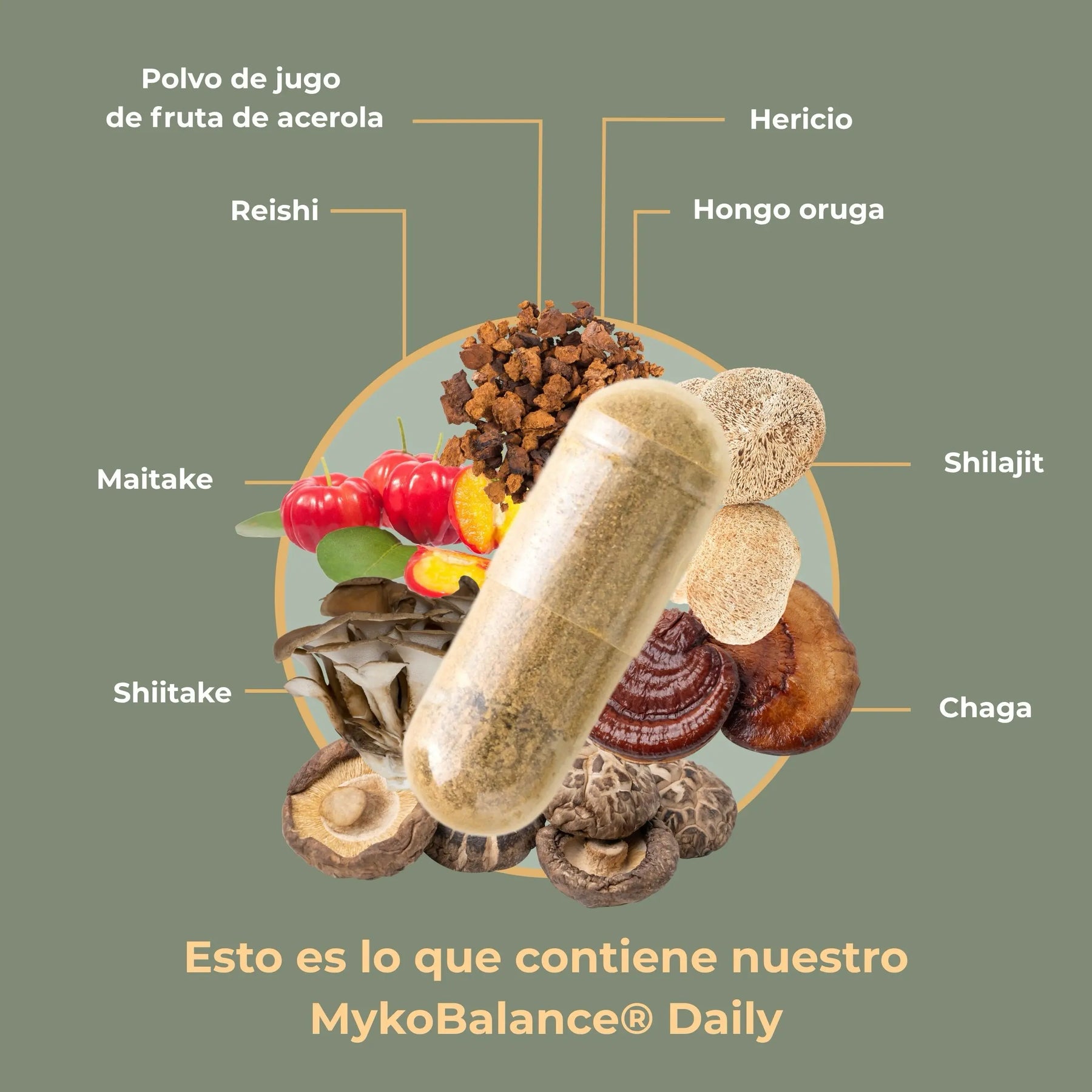 viktilabs-myko-balance-infografik-ingredientes [lang-es]