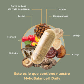 viktilabs-myko-balance-infografik-ingredientes [lang-es]