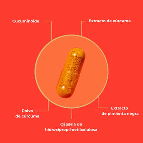viktilabs-curcuma-extrakt-infografik-ingredientes [lang-es]