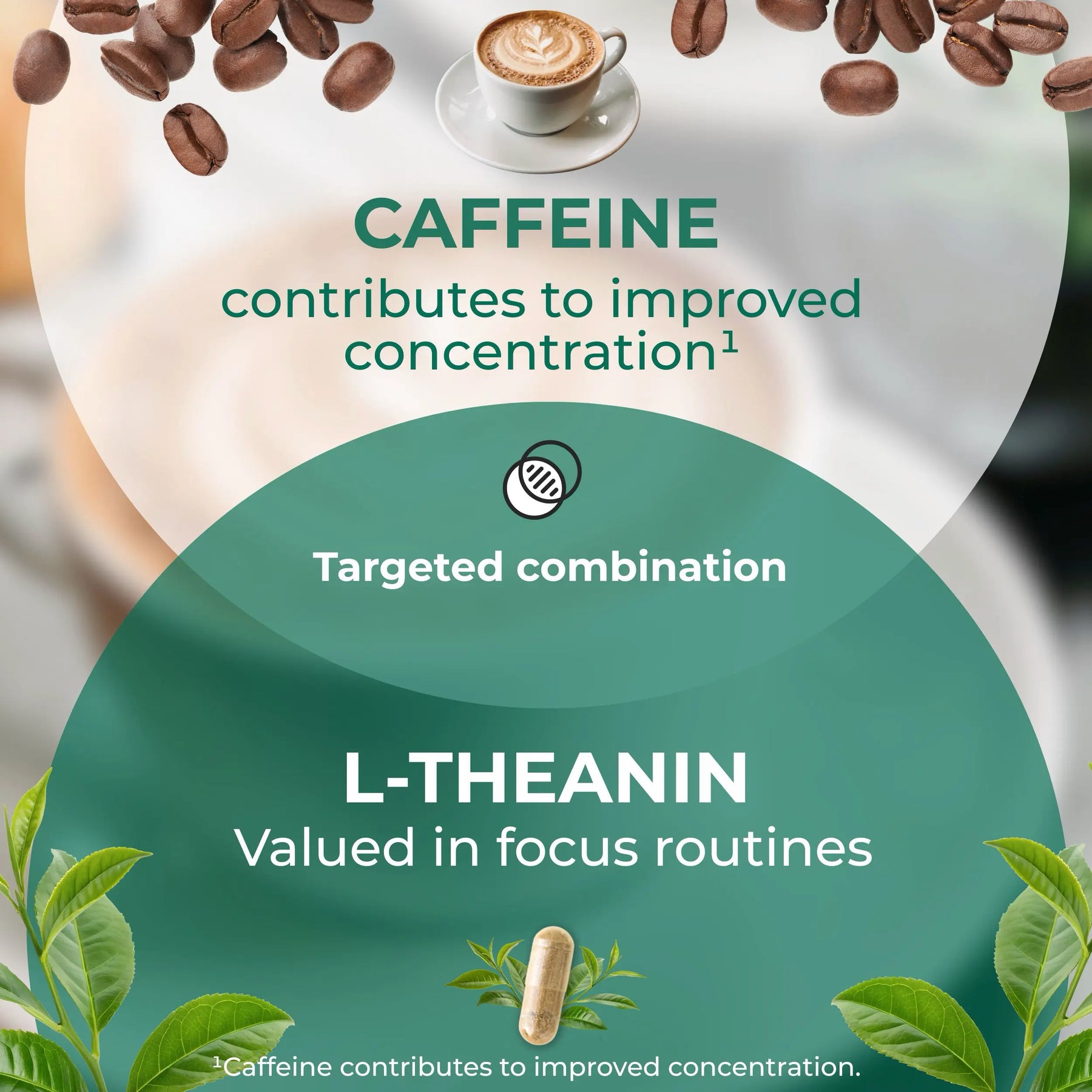 viktilabs-l-theanin-infografik-Wirksamkeit [lang-en]