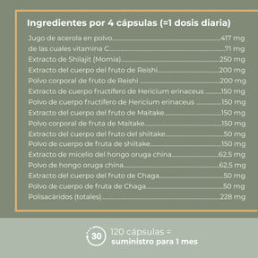viktilabs-myko-balance-infografik-ingredientes-por-por porción [lang-es]