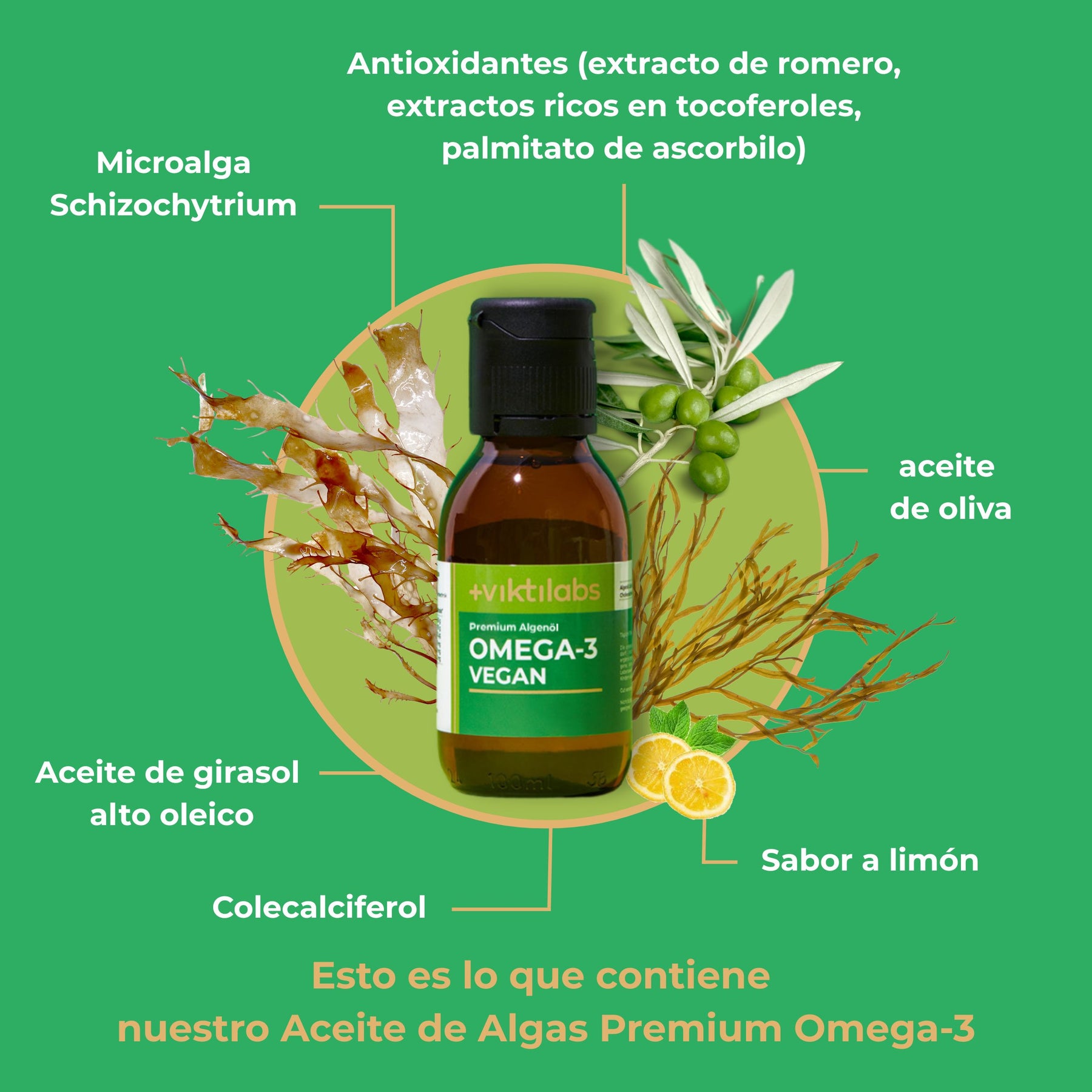 viktilabs-omega-3-vegan-infografik-ingredientes [lang-es]
