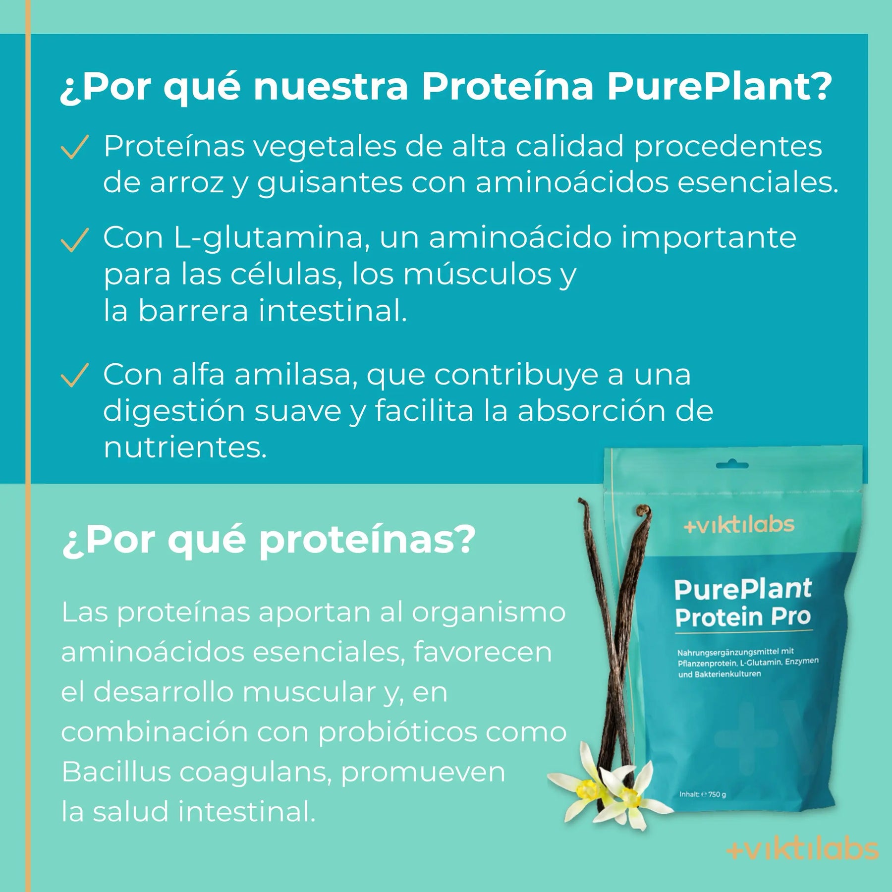 viktilabs-pure-plant-protein-pro-vanille-infografik-warum-unser-produkt [lang-es]