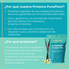 viktilabs-pure-plant-protein-pro-vanille-infografik-warum-unser-produkt [lang-es]