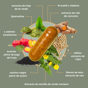 viktilabs-revitoxa-infografik-ingredientes [lang-es]
