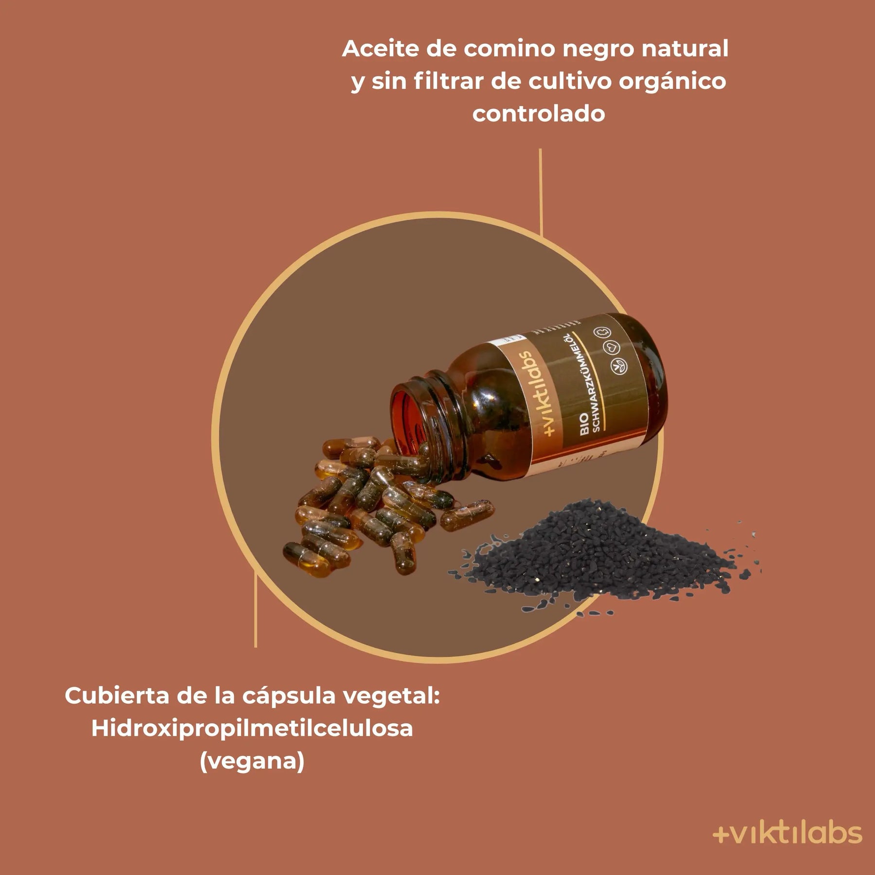 viktilabs-schwarzkümmel-öl-infografik-ingredientes [lang-es]