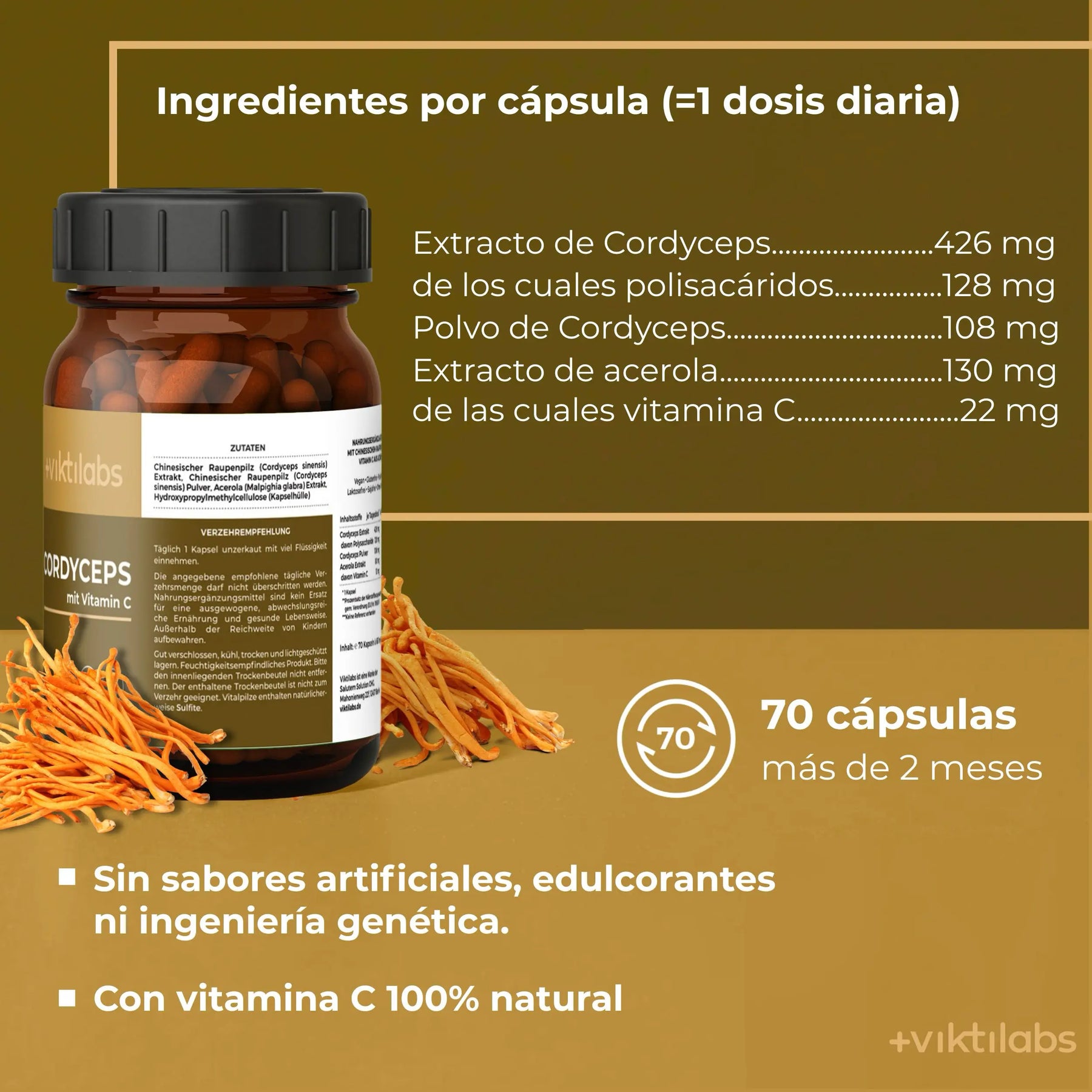 viktilabs-cordyceps-infografik-ingredientes-por-por porción [lang-es]