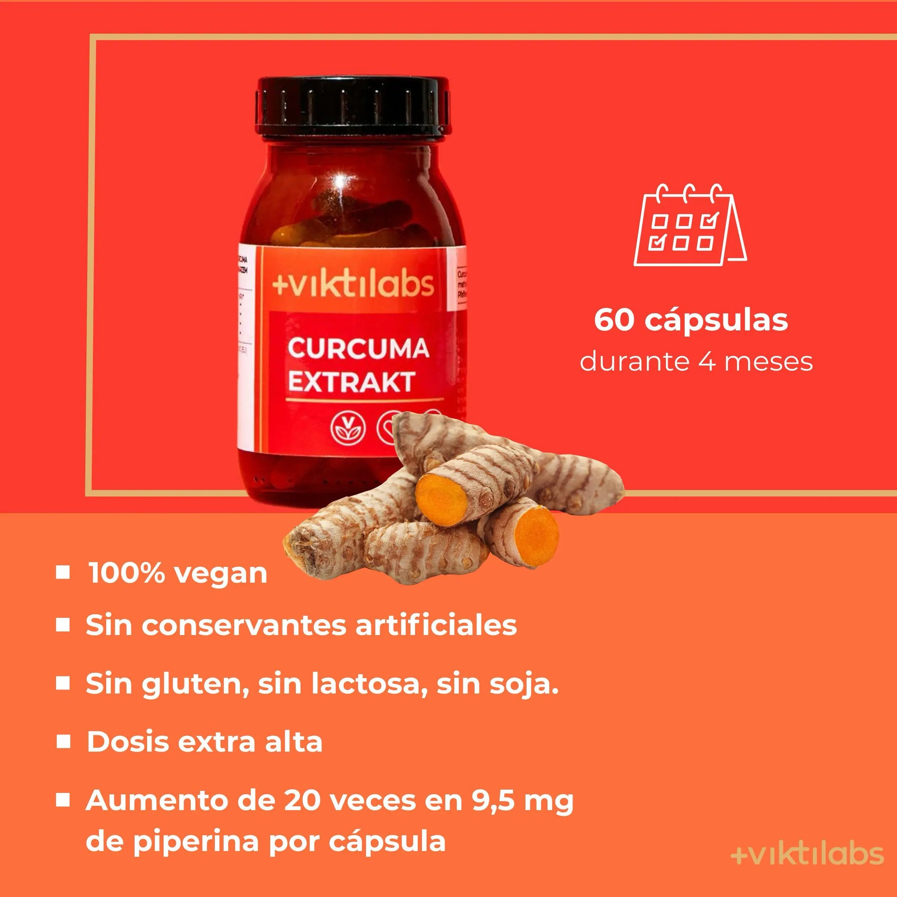 viktilabs-curcuma-extrakt-infografik-ingredientes-por-por porción [lang-es]