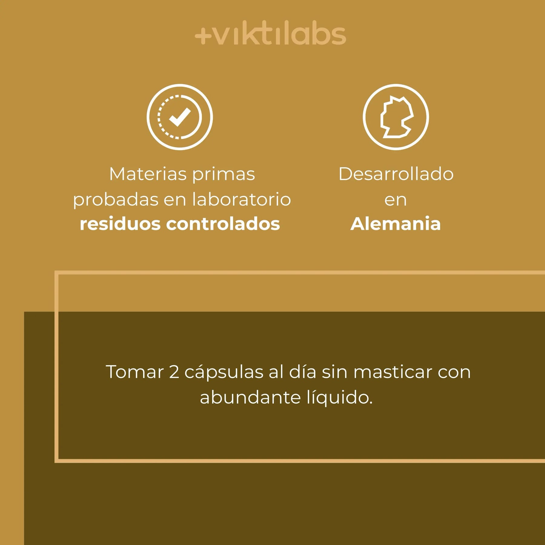 viktilabs-löwenmähne-infografik-uso del producto [lang-es]