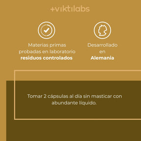 viktilabs-löwenmähne-infografik-uso del producto [lang-es]