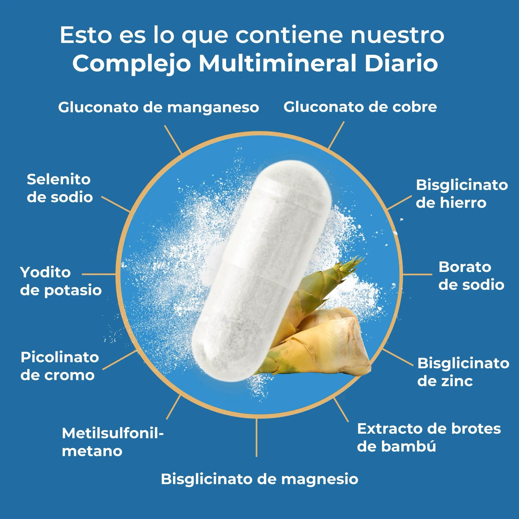 viktilabs-multimineral-komplex-infografik-inhaltsstoffe [lang-es]