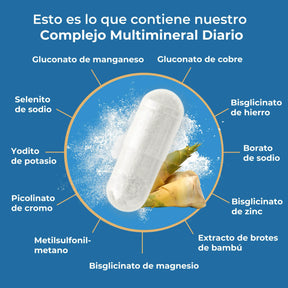 viktilabs-multimineral-komplex-infografik-inhaltsstoffe [lang-es]