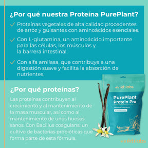 viktilabs-pure-plant-protein-pro-vanille-infografik [lang-es]