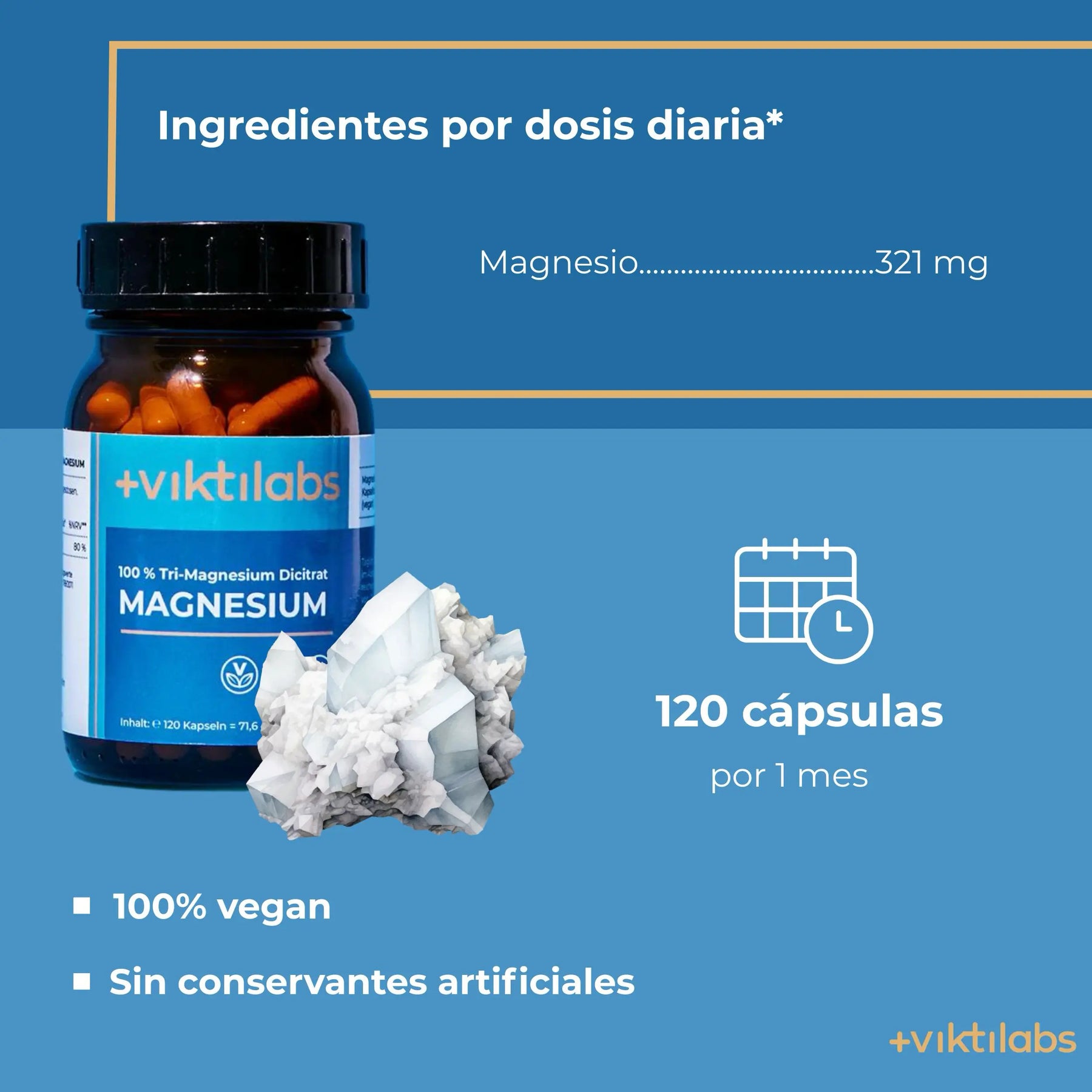 viktilabs-tri-magnesium-dicitrat-infografik-ingredientes-por-por porción [lang-es]