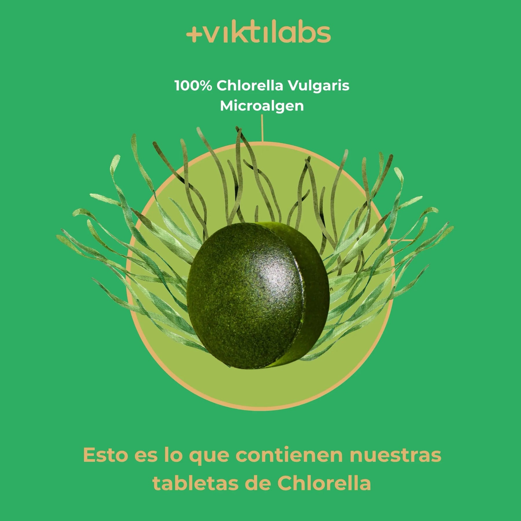 viktilabs-chlorella-infografik-ingredientes [lang-es]