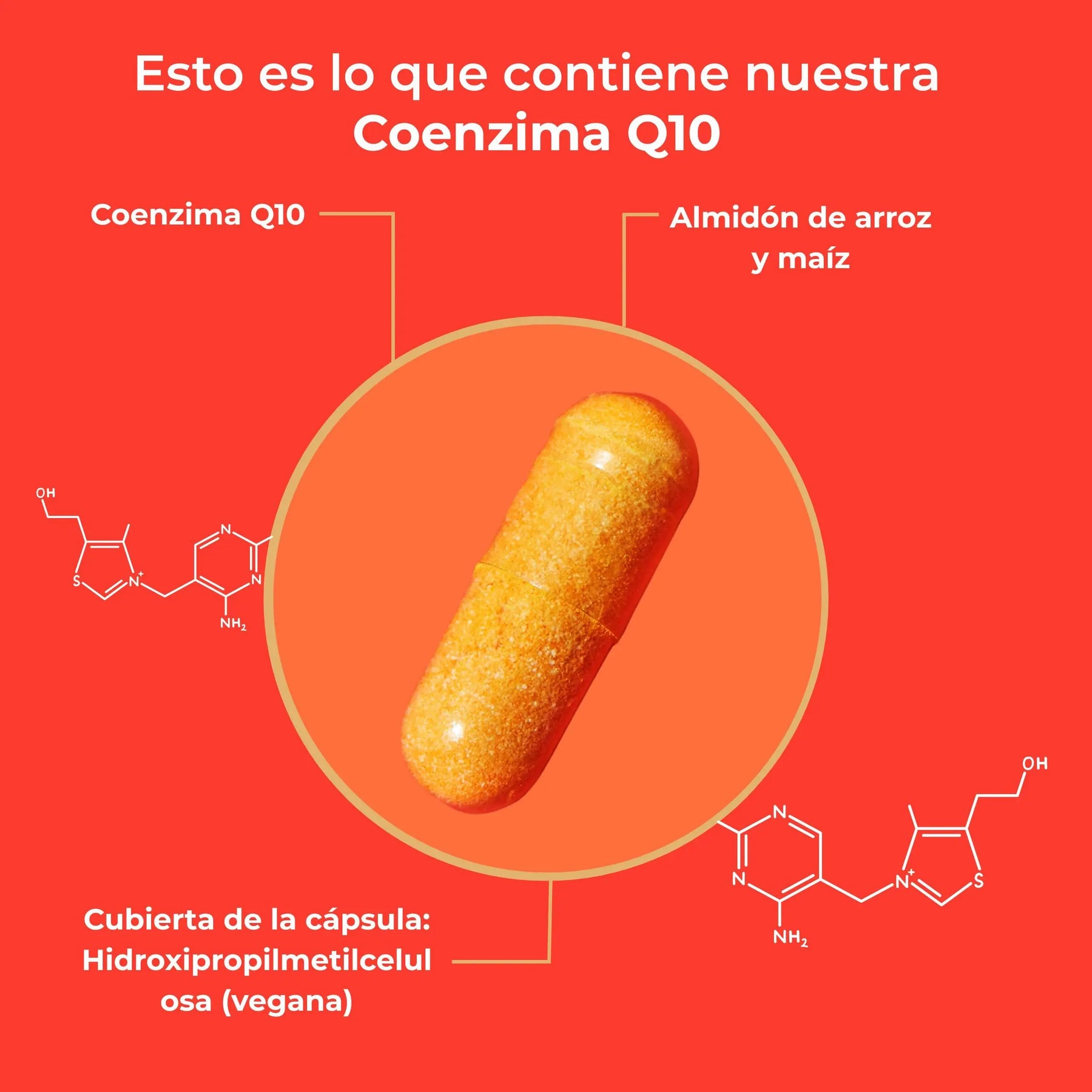 viktilabs-coenzym-q10-infografik-ingredientes [lang-es]