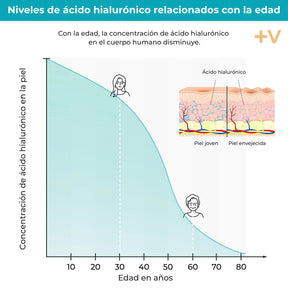 viktilabs-hyaluronsäure-infografik-haut [lang-es]
