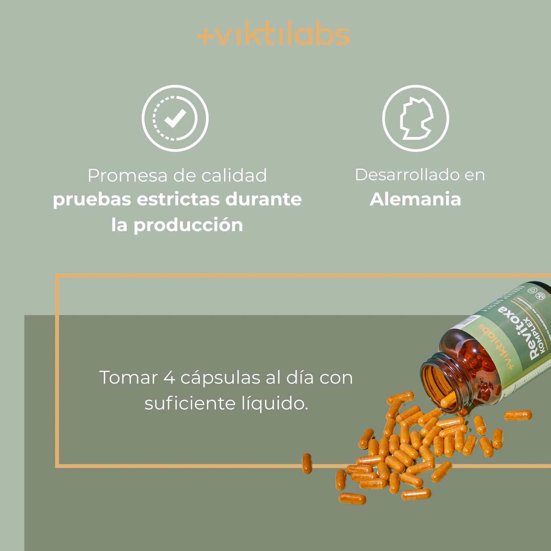 viktilabs-revitoxa-infografik-uso del producto [lang-es]