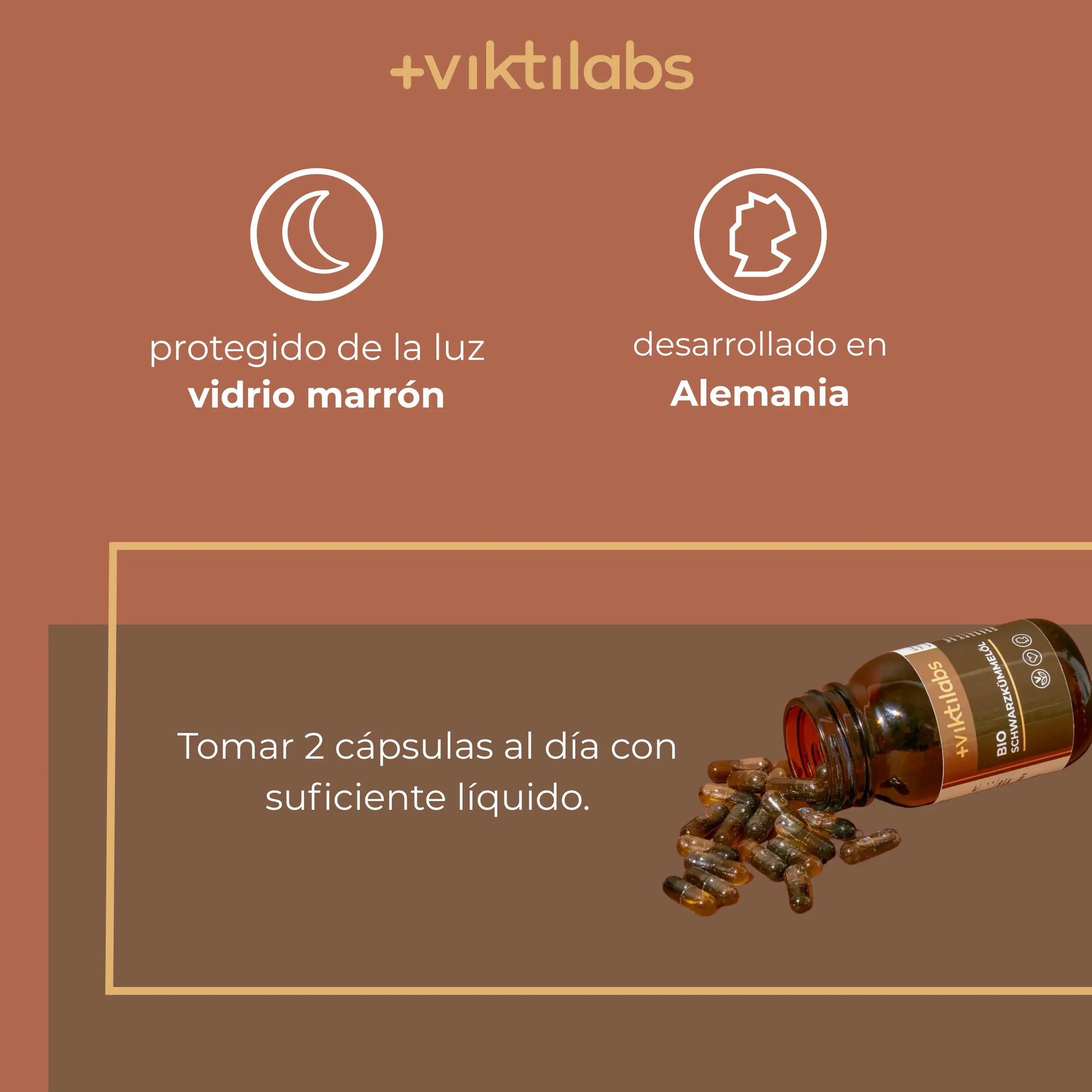 viktilabs-schwarzkümmel-öl-infografik-uso del producto [lang-es]