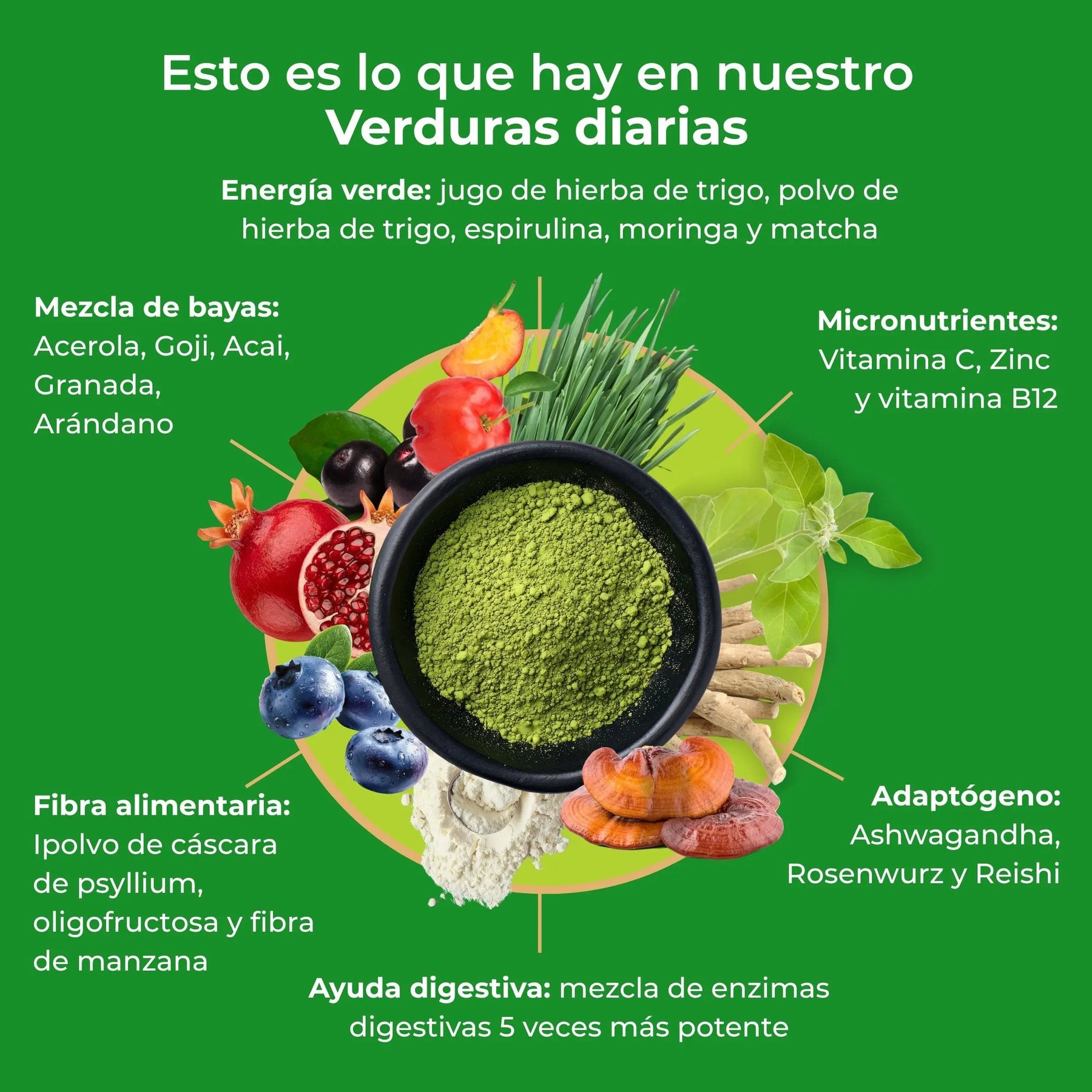 viktilabs-daily-greens-infographic-ingredients [lang-es]